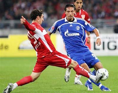 将极大丰富 将极大丰富